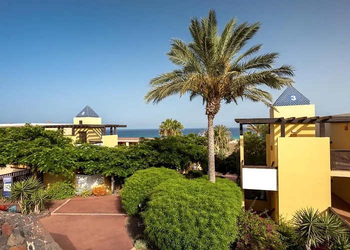 Occidental Jandía Playa